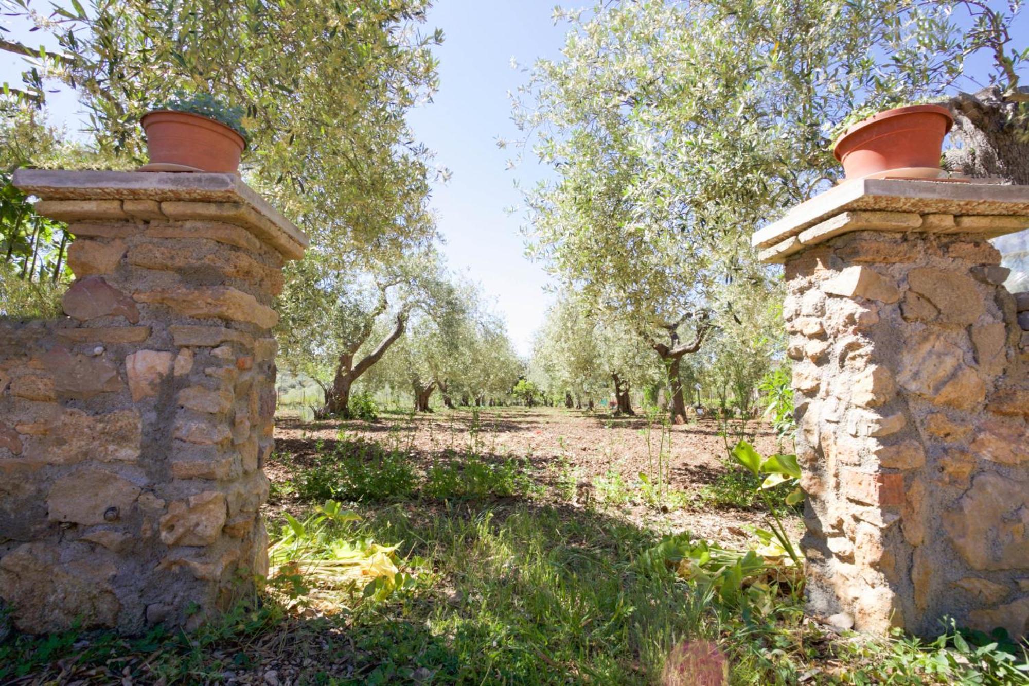 Villa Pedra Moro Альгеро Екстер'єр фото
